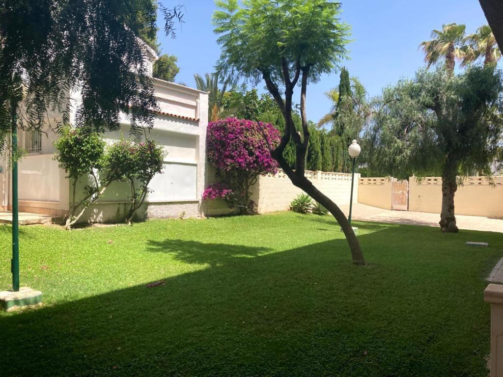 Apartamento Con Piscina Y Parking El Campello Eksteriør bilde